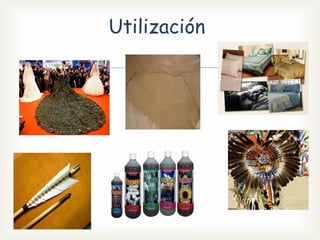 Utilización
