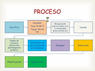 PROCESO

