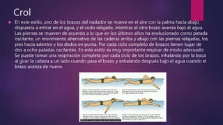 Crol
 En este estilo, uno de los brazos del nadador se mueve en el aire con la palma hacia abajo
dispuesta a entrar en el agua, y el codo relajado, mientras el otro brazo avanza bajo el agua.
Las piernas se mueven de acuerdo a lo que en los últimos años ha evolucionado como patada
oscilante, un movimiento alternativo de las caderas arriba y abajo con las piernas relajadas, los
pies hacia adentro y los dedos en punta. Por cada ciclo completo de brazos tienen lugar de
dos a ocho patadas oscilantes. En este estilo es muy importante respirar de modo adecuado.
Se puede tomar una respiración completa por cada ciclo de los brazos, inhalando por la boca
al girar la cabeza a un lado cuando pasa el brazo y exhalando después bajo el agua cuando el
brazo avanza de nuevo.
 