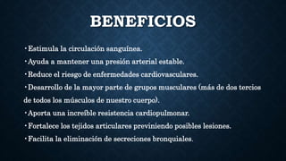 BENEFICIOS
•Estimula la circulación sanguínea.
•Ayuda a mantener una presión arterial estable.
•Reduce el riesgo de enfermedades cardiovasculares.
•Desarrollo de la mayor parte de grupos musculares (más de dos tercios
de todos los músculos de nuestro cuerpo).
•Aporta una increíble resistencia cardiopulmonar.
•Fortalece los tejidos articulares previniendo posibles lesiones.
•Facilita la eliminación de secreciones bronquiales.
 