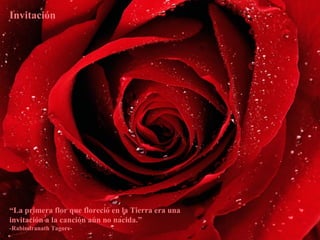 Invitación “ La primera flor que floreció en la Tierra era una invitación a la canción aún no nacida.”  -Rabindranath Tagore- 