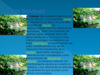 Los bosquesUn bosque (de la palabra germánica busch: arbusto y por extensión monte de árboles) es un área con una alta densidad de árboles. En realidad, existen muchas definiciones de bosque.1 Estas comunidades de plantas cubren grandes áreas del globo terráqueo y funcionan como hábitats animales, moduladores de flujos hidrológicos y conservadores del suelo, constituyendo uno de los aspectos más importantes de la biosfera de la Tierra. Aunque a menudo se han considerado como consumidores de dióxido de carbono, los bosques maduros son prácticamente neutros en cuanto al carbono, y son solamente los alterados y los jóvenes los que actúan como dichos consumidores.