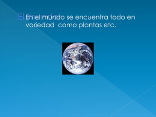 El mundoEn el mundo se encuentra todo en variedad  como plantas etc.