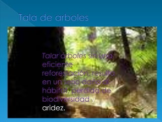 Tala de arboles Talar árboles sin una eficiente reforestación, resulta en un serio daño al hábitat, perdida de biodiversidad y aridez. 