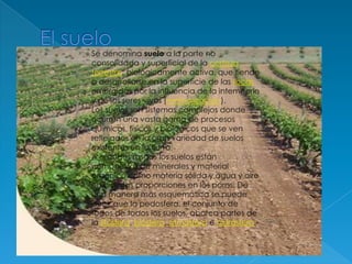 El sueloSe denomina suelo a la parte no consolidada y superficial de la corteza terrestre, biológicamente activa, que tiende a desarrollarse en la superficie de las rocas emergidas por la influencia de la intemperie y de los seres vivos (meteorización).Los suelos son sistemas complejos donde ocurren una vasta gama de procesos químicos, físicos y biológicos que se ven reflejados en la gran variedad de suelos existentes en la tierra.A grandes rasgos los suelos están compuestos de minerales y material orgánico como materia sólida y agua y aire en distintas proporciones en los poros. De una manera más esquemática se puede decir que la pedosfera, el conjunto de todos de todos los suelos, abarca partes de la litósfera, biósfera, atmósfera e hidrósfera.