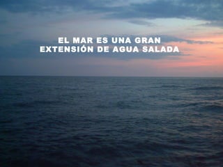 EL MAR ES UNA GRAN
EXTENSIÓN DE AGUA SALADA
 