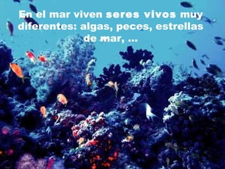 En el mar viven seres vivos muy
diferentes: algas, peces, estrellas
de mar, …
 