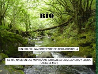 UN RÍO ES UNA CORRIENTE DE AGUA CONTINUA
EL RÍO NACE EN LAS MONTAÑAS, ATRAVIESA UNA LLANURA Y LLEGA
HASTA EL MAR.
RÍORÍO
 