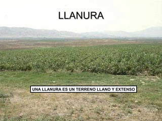 UNA LLANURA ES UN TERRENO LLANO Y EXTENSO
LLANURALLANURA
 