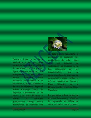 un futuro poco halagüeño si
                                       continúan en regresión sus
Donostia. Lejos de los focos           condiciones de vida. Todos
mediáticos a los que están             ellos    son     especies   de
sometidos animales en peligro          vertebrados -en Euskadi no se
de extinción como los gorilas,         han catalogado aún los
tigres, elefantes asiáticos o los      invertebrados-,     que     se
orangutanes,       existe     fauna    encuentran bajo la amenaza de
menos        llamativa         cuya    desaparición, según explica el
existencia se tambalea. Y se           jefe de Servicio de Fauna y
encuentra a pocos kilómetros           Flora     Silvestre    de   la
de casa. En Gipuzkoa. Según el         Diputación de Gipuzkoa, Iñigo
último Catálogo Vasco de               Mendiola.
Especies Amenazadas de la
Fauna y la Flora Silvestre y           La paulatina urbanización de
Marina,         el        territorio   terrenos boscosos y húmedos
guipuzcoano alberga nueve              ha degradado los hábitat de
poblaciones de animales con            estos animales hasta provocar

GUARACA PAOLA                                                  Página 9
 