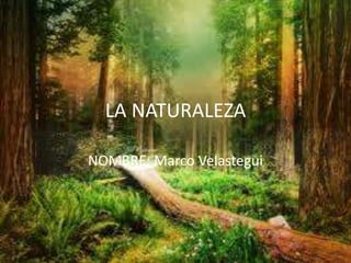 LA NATURALEZA

NOMBRE: Marco Velastegui
 