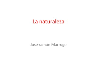 La naturaleza


José ramón Marrugo
 