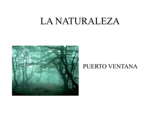 LA NATURALEZA
PUERTO VENTANA
 