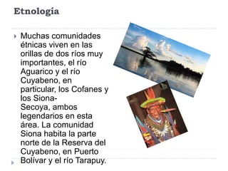 Etnología
 Muchas comunidades
étnicas viven en las
orillas de dos ríos muy
importantes, el río
Aguarico y el río
Cuyabeno, en
particular, los Cofanes y
los Siona-
Secoya, ambos
legendarios en esta
área. La comunidad
Siona habita la parte
norte de la Reserva del
Cuyabeno, en Puerto
Bolívar y el río Tarapuy.
 