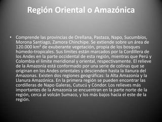 Región Oriental o Amazónica
• Comprende las provincias de Orellana, Pastaza, Napo, Sucumbíos,
Morona Santiago, Zamora Chinchipe. Se extiende sobre un área de
120.000 km² de exuberante vegetación, propia de los bosques
húmedo-tropicales. Sus límites están marcados por la Cordillera de
los Andes en la parte occidental de esta región, mientras que Perú y
Colombia el límite meridional y oriental, respectivamente. El relieve
de la Amazonía está conformado por una serie de colinas que se
originan en los Andes orientales y descienden hasta la llanura del
Amazonas. Existen dos regiones geográficas: la Alta Amazonía y la
Llanura Amazónica. En la primera región se pueden encontrar las
cordilleras de Napo Galeras, Cutucú y Cóndor. Los relieves más
importantes de la Amazonía se encuentran en la parte norte de la
región, cerca al volcán Sumaco, y los más bajos hacia el este de la
región.
 