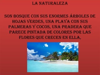 La naturaleza
Son bosque con sus enormes árboles de
hojas verdes, una playa con sus
palmeras y cocos, una pradera que
parece pintada de colores por las
flores que crecen en ella,
 