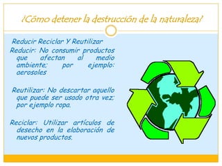 ¿Cómo detener la destrucción de la naturaleza?
Reducir Reciclar Y Reutilizar
Reducir: No consumir productos
que afectan al medio
ambiente; por ejemplo:
aerosoles
Reutilizar: No descartar aquello
que puede ser usado otra vez;
por ejemplo ropa.
Reciclar: Utilizar artículos de
desecho en la elaboración de
nuevos productos.
 