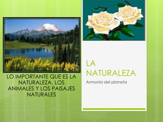 LO IMPORTANTE QUE ES LA
NATURALEZA, LOS
ANIMALES Y LOS PAISAJES
NATURALES

LA
NATURALEZA
Armonía del planeta

 