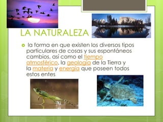 LA NATURALEZA


la forma en que existen los diversos tipos
particulares de cosas y sus espontáneos
cambios, así como el tiempo
atmosférico, la geología de la Tierra y
la materia y energía que poseen todos
estos entes

 