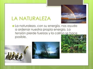 LA NATURALEZA
 La

naturaleza, con su energía, nos ayuda
a ordenar nuestra propia energía. La
tensión pierde fuerzas y la calma se hace
posible.

 