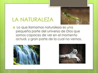 LA NATURALEZA


Lo que llamamos naturaleza es una
pequeña parte del universo de Dios que
somos capaces de ver en el momento
actual, y gran parte de la cual no vemos.

 