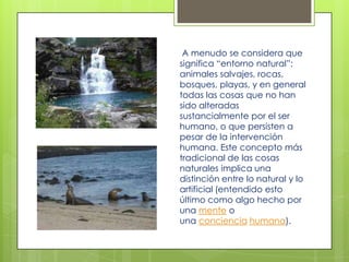 A menudo se considera que
significa “entorno natural”:
animales salvajes, rocas,
bosques, playas, y en general
todas las cosas que no han
sido alteradas
sustancialmente por el ser
humano, o que persisten a
pesar de la intervención
humana. Este concepto más
tradicional de las cosas
naturales implica una
distinción entre lo natural y lo
artificial (entendido esto
último como algo hecho por
una mente o
una conciencia humana).
 