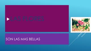 SON LAS MAS BELLAS
LAS FLORES
 