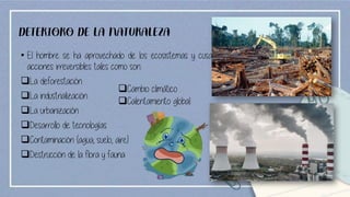 DETERIORO DE LA NATURALEZA
• El hombre se ha aprovechado de los ecosistemas y cusa
acciones irreversibles tales como son:
❑La deforestación
❑La industrialización
❑La urbanización
❑Desarrollo de tecnologías
❑Contaminación (agua, suelo, aire)
❑Destrucción de la flora y fauna
❑Cambio climático
❑Calentamiento global
 