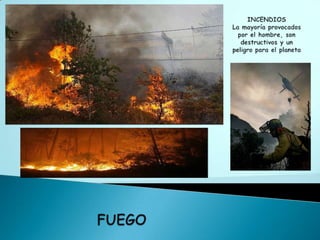 INCENDIOS La mayoría provocados por el hombre, son destructivos y un peligro para el planetaFUEGO