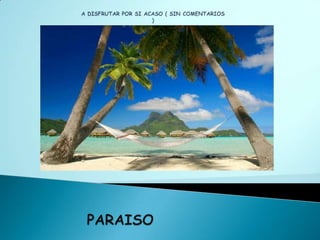 A DISFRUTAR POR SI ACASO ( SIN COMENTARIOS )PARAISO