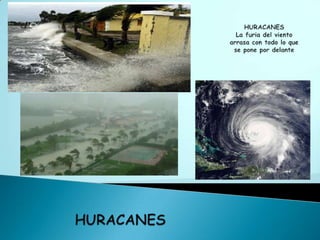 HURACANES La furia del viento arrasa con todo lo que se pone por delanteHURACANES