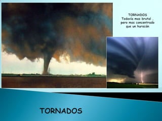 TORNADOS Todavía mas brutal , pero mas concentrado que un huracánTORNADOS