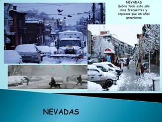 NEVADASSobre todo este año mas frecuentes y copiosas que en años anterioresNEVADAS