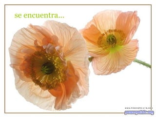 se encuentra... 