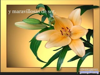 y maravillosas de ser,  