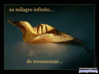 su milagro infinito... de recomenzar... 