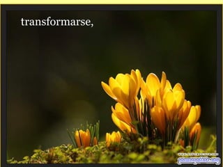 transformarse,  