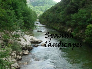 La naturaleza de España
           Spanish
           landscapes
 