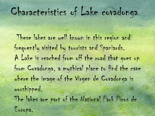 Characteristics of Lake covadonga
 These lakes are well known in this region and
frequently visited by tourists and Spaniards.
A Lake is reached from off the road that goes up
from Covadonga, a mythical place to find the cave
where the image of the Virgen de Covadonga is
worshipped.
The lakes are part of the National Park Picos de
Europa.
 