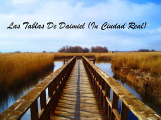 Las Tablas De Daimiel (In Ciudad Real)
 