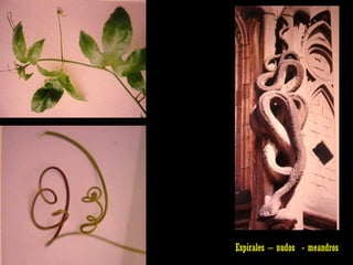 Espirales – nudos  - meandros 