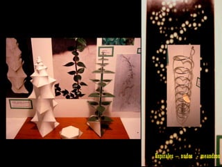 Espirales – nudos  - meandros 