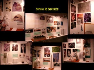 TOPICOS DE EXPOSICIÓN  