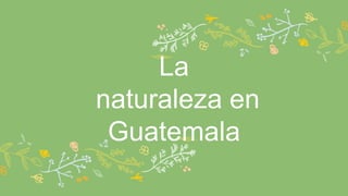 La
naturaleza en
Guatemala
 