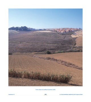 105
Capítulo III La funcionalidad ambiental del espacio libre
Frente urbano de Castilleja de Guzmán, Sevilla
 
