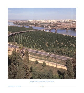 106
La naturaleza en la ciudad
Vista de Sevilla desde el mirador de San Juan de Aznalfarache
 