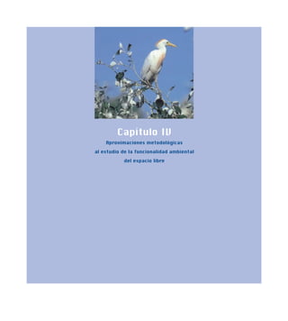 Capítulo IV
Aproximaciones metodológicas
al estudio de la funcionalidad ambiental
del espacio libre
 