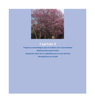 Capítulo V
Propuesta metodológica para el análisis de la funcionalidad
ambiental del espacio libre.
Evaluación inicial de su viabilidad para el caso del Área
Metropolitana de Sevilla
 