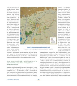 136
La naturaleza en la ciudad
valor y la funcionalidad am-
biental del mismo. Algunos
de los elementos conceptua-
les expuestos en los capítulos
anteriores están presentes
en el nuevo documento de
ordenación, entre ellos la re-
ferencia explícita a la matriz
territorial como componente
del sistema metropolitano, y
la identificación del papel que
juegan los procesos biofísicos
de cara al mantenimiento de
las condiciones ambientales
en la aglomeración urbana.
Así, el espacio libre es defini-
do desde una óptica unitaria
y sistémica, como soporte de
una funcionalidad intrínseca
y diversa; constituye la matriz
que soporta el crecimiento y
el desarrollo de las activida-
des urbanas, pero también
es un componente activo del
sistema, como elemento pro-
visor de servicios ecológicos.
El análisis detallado de los
contenidos y determinaciones del Plan queda fuera del alcance del pre-
sente trabajo, si bien es necesario señalar el interés inicial que presenta el
documento de ordenación como indicador de un cambio en la forma de
entender el espacio libre desde el ámbito de la planificación territorial.
Recursos potenciales para la conformación de un
sistema de espacios libres metropolitano.
Un análisis inicial ciales para la conformación de un
sistema de espacios libres metropolitano. Un
Una de las mayores potencialidades de cara a la conformación de un siste-
ma de espacios libres integrado y funcional en el plano ambiental, lo consti-
tuye el hecho de que el Área Metropolitana de Sevilla se encuentre ubicada
en un contexto geográfico caracterizado por la presencia de varios espacios
de elevado interés natural, que mantienen una interesante relación con el
territorio de la aglomeración urbana. Podemos destacar a este respecto la
presencia, al Sur, del ámbito
marismeño y la periferia del
Parque Nacional y Natural de
Doñana; la cercanía de este
entorno de gran valor ecoló-
gico determina, por ejemplo,
la presencia de especies de
elevado interés ornitológico
en determinados enclaves in-
tegrados en el propio espacio
metropolitano, como pueden
ser Tablada o el tramo final
del encauzamiento del río
Guadaira. Por su parte, en
el límite occidental del área
metropolitana se encuentra
la cuenca del Guadiamar, es-
pacio de carácter eminente-
mente agrícola, que actúa de
forma natural como conector
ecológico entre los ámbitos
de Doñana y la Sierra Norte
de Sevilla, y que en los últi-
mos tiempos ha cobrado un
especial interés gracias al re-
conocimiento de su potencial
para la conservación de una
especie emblemática como es el lince ibérico; el reconocimiento de estos
valores ha propiciado la declaración de parte de la cuenca como Paisaje
Protegido. Por su parte, la Sierra Norte, con su característico paisaje de
dehesa, constituye un tercer y último elemento natural de gran interés por
su cercanía al espacio metropolitano; su valor ambiental está reconocido
a través de la figura de Parque Natural. Es evidente que la ordenación del
espacio libre metropolitano no debe obviar la riqueza de este contexto. La
proyección del sistema de espacios libres hacia estos ámbitos exteriores,
aprovechando aquellos recursos territoriales que permiten una conexión
funcional y una relación armónica de los mismos con el espacio urbanizado,
posibilitaría, por un lado, el mantenimiento de una transición armónica en-
tre el ámbito metropolitano y el espacio natural, y por otro, una mejora po-
tencial de las condiciones ecológicas del propio sistema de espacios libres.
La riqueza natural del ámbito metropolitano no se limita a su en-
torno. Dentro del territorio de la aglomeración urbana es posible encontrar
Espacios de interés natural en el Área Metropolitana de Sevilla.
Fuente: Atlas de Sevilla Metropolitana, Territorio y actividades productivas. Sevilla Global, 2003.
 
