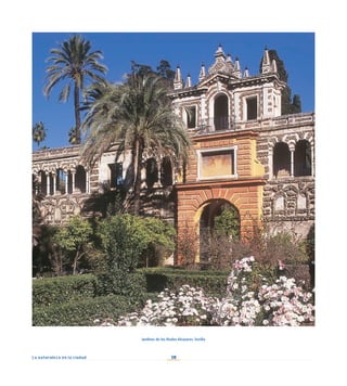 30
La naturaleza en la ciudad
Jardines de los Reales Alcázares. Sevilla
 